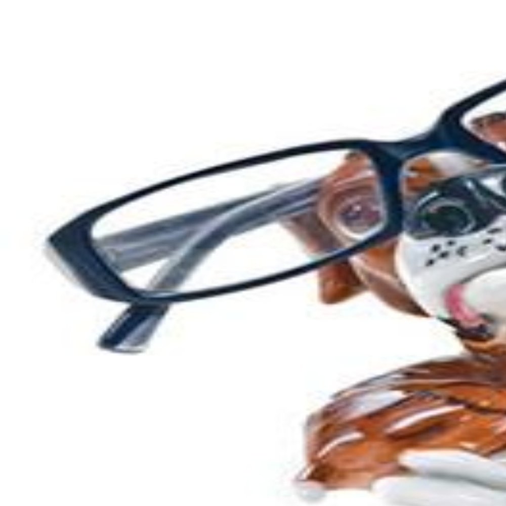 Boxer Eyeglass Holder
